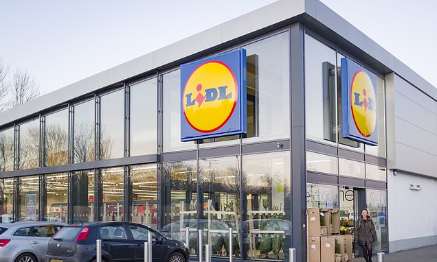 UK Planning Bottleneck Threatens Lidl's Expansion as Grocer Eyes Hundreds of New Sites