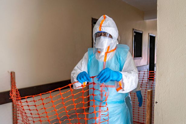 Ebola Virus Can Persist in Brain Tissue for Years After Apparent Recovery, Study Finds