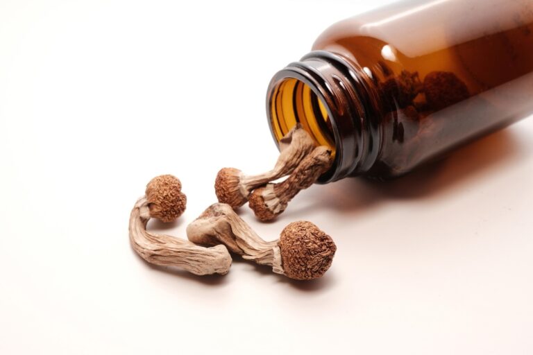 Psilocybin and Brain Injury: Promising Preclinical Evidence for an Unmet Medical Need
